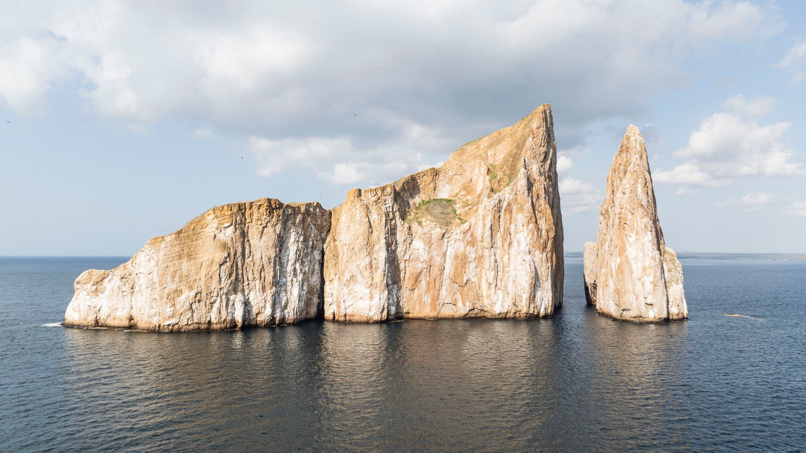 León Dormido - Galápagos