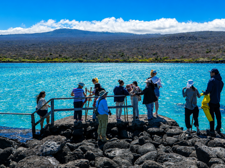 Guardianas Azules en Isla Lobos