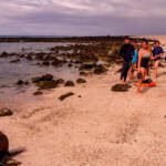 Foto grupal de Guardianas azules con instructor de natación Alex Nata, con snorkel en el taller de habilidades acuáticas y monitoreo comunitario en Isla Lobos